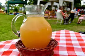Jarra Limonada Panelada